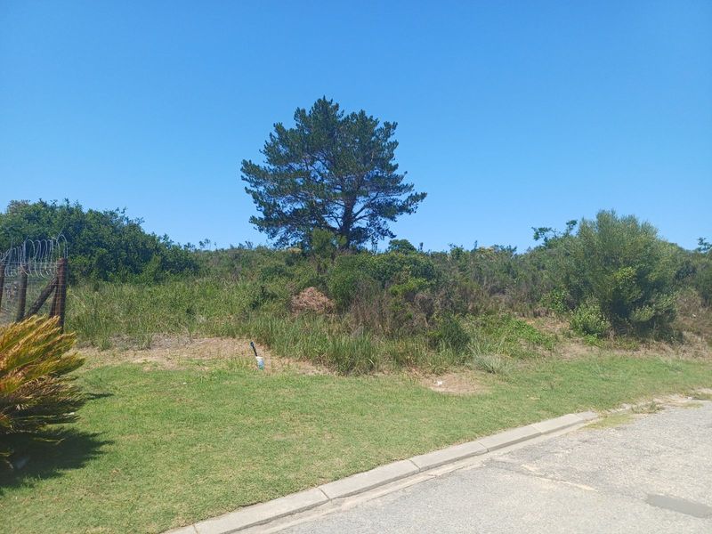 Vacant Land Residential For Sale in Zeegezicht - Photo 7