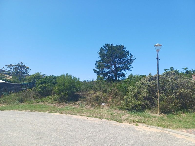 Vacant Land Residential For Sale in Zeegezicht - Photo 1