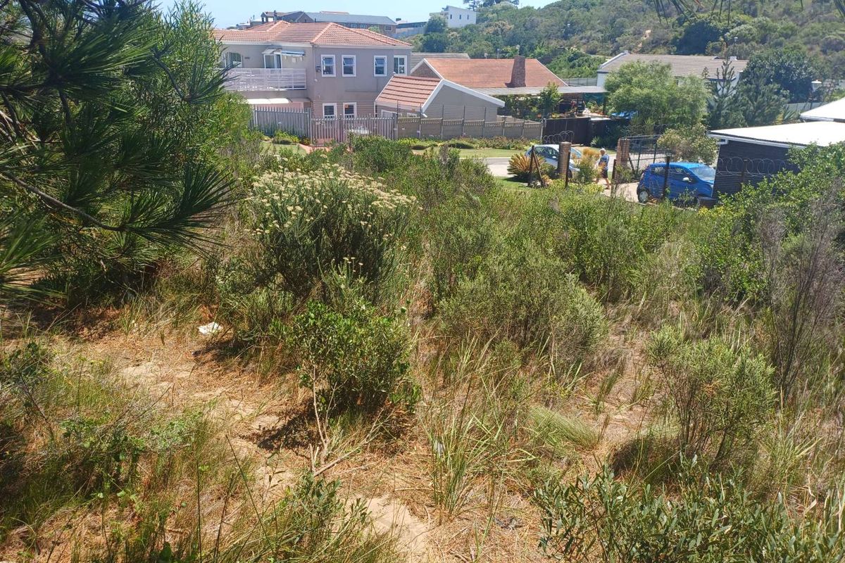 A view of a vacant residential plot featuring natural vegetation and surrounding suburban housing in a quiet neighborhood setting.