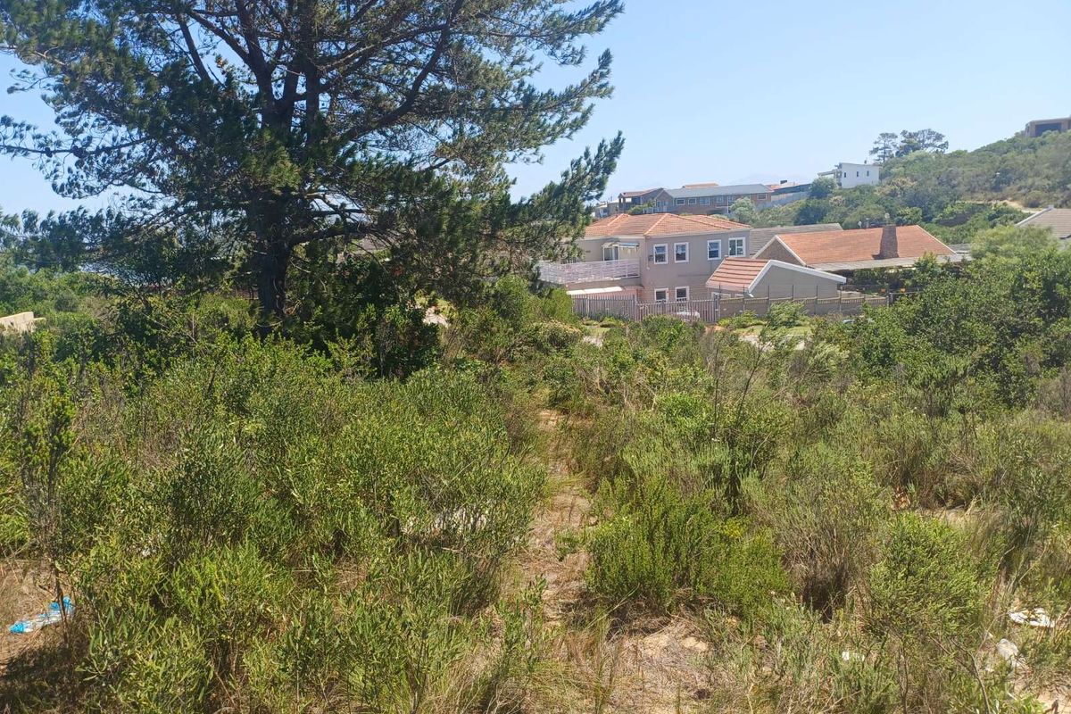 A view of a vacant residential plot featuring natural vegetation and surrounding neighborhood homes.