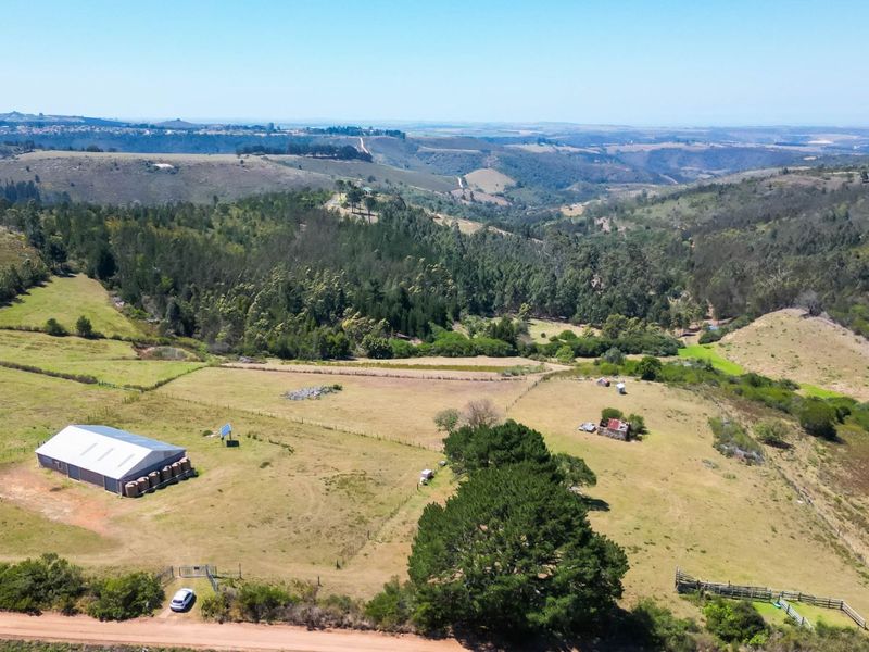 Farm For Sale in Friemersheim - Photo 2