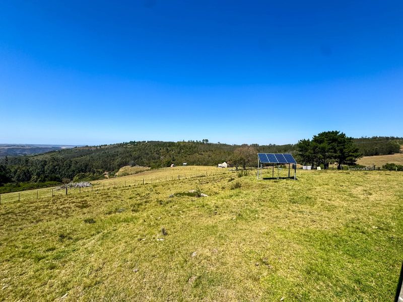 Farm For Sale in Friemersheim - Photo 10