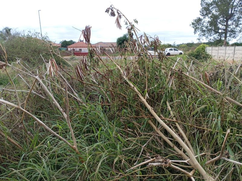 Vacant Land Residential For Sale in The Orchards - Photo 7