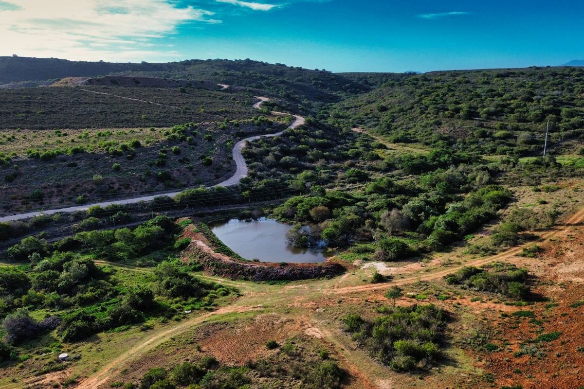 Aerial view of a vacant residential plot featuring natural landscape, native vegetation, a small pond, and an unpaved access road.