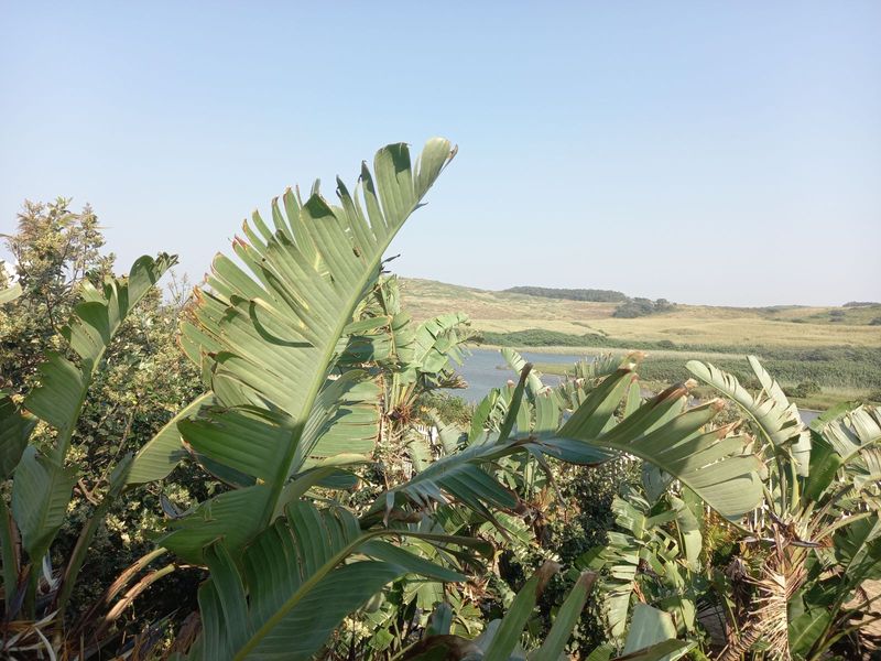 House For Sale in Tinley Manor - Photo 5