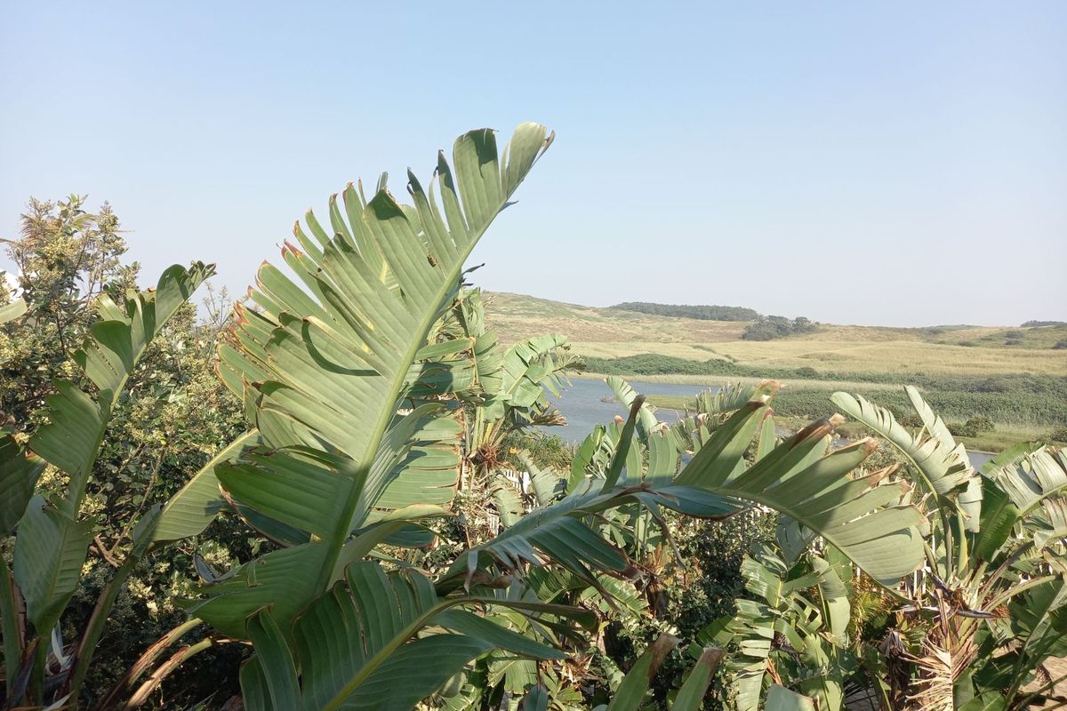 House For Sale in Tinley Manor - Photo 5