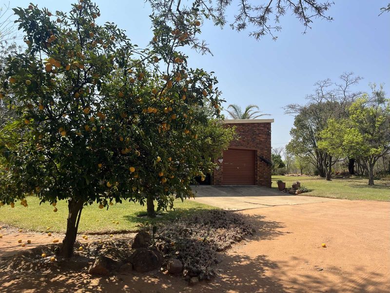 Farm For Sale in Mookgopong Central - Photo 3