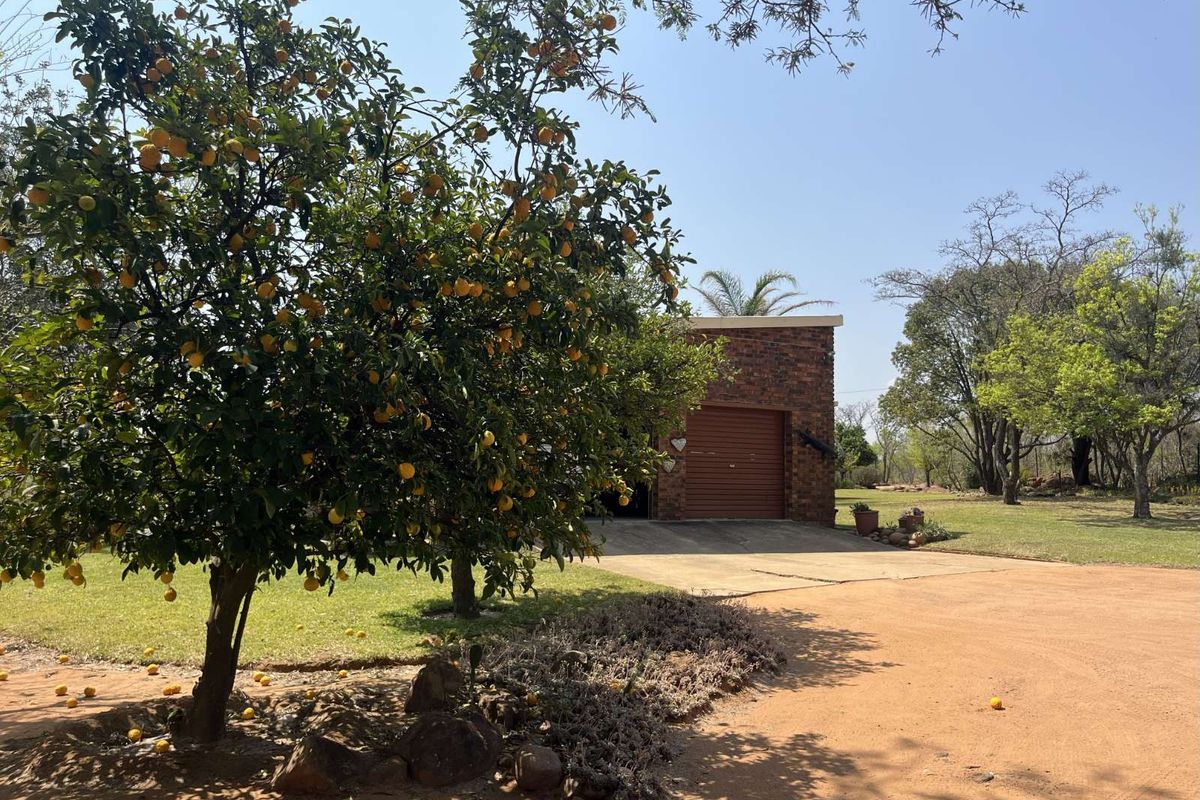 Farm For Sale in Mookgopong Central - Photo 3