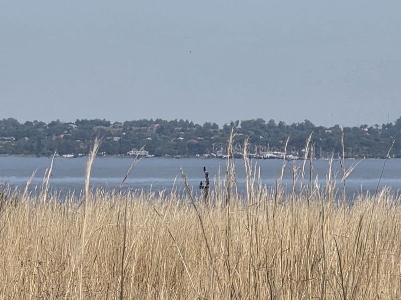 Vacant Land Residential For Sale in Vaal Marina Central - Photo 4