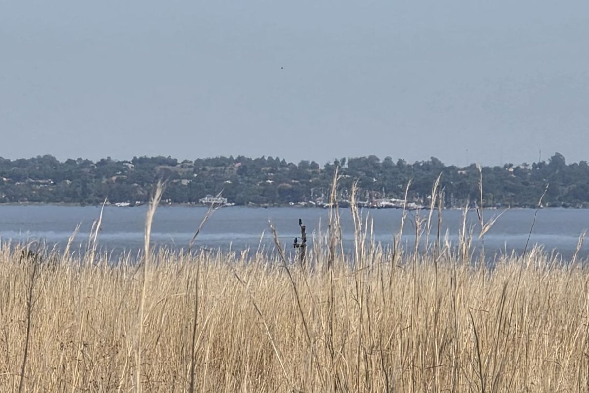 Vacant Land Residential For Sale in Vaal Marina Central - Photo 4