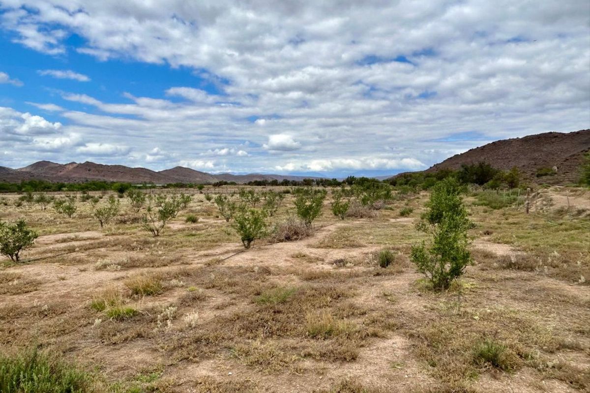 Farm For Sale in Ladismith Rural - Photo 5