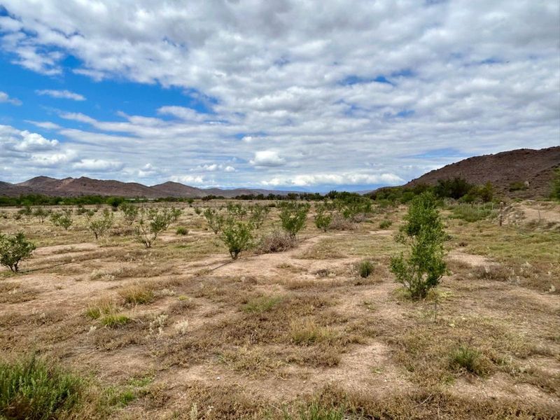 Farm For Sale in Ladismith Rural - Photo 5
