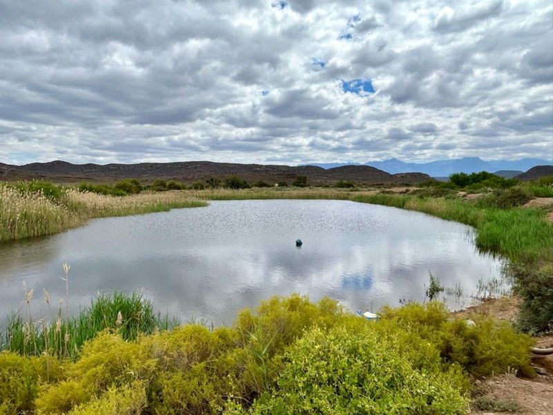 Farm For Sale in Ladismith Rural - Photo 9