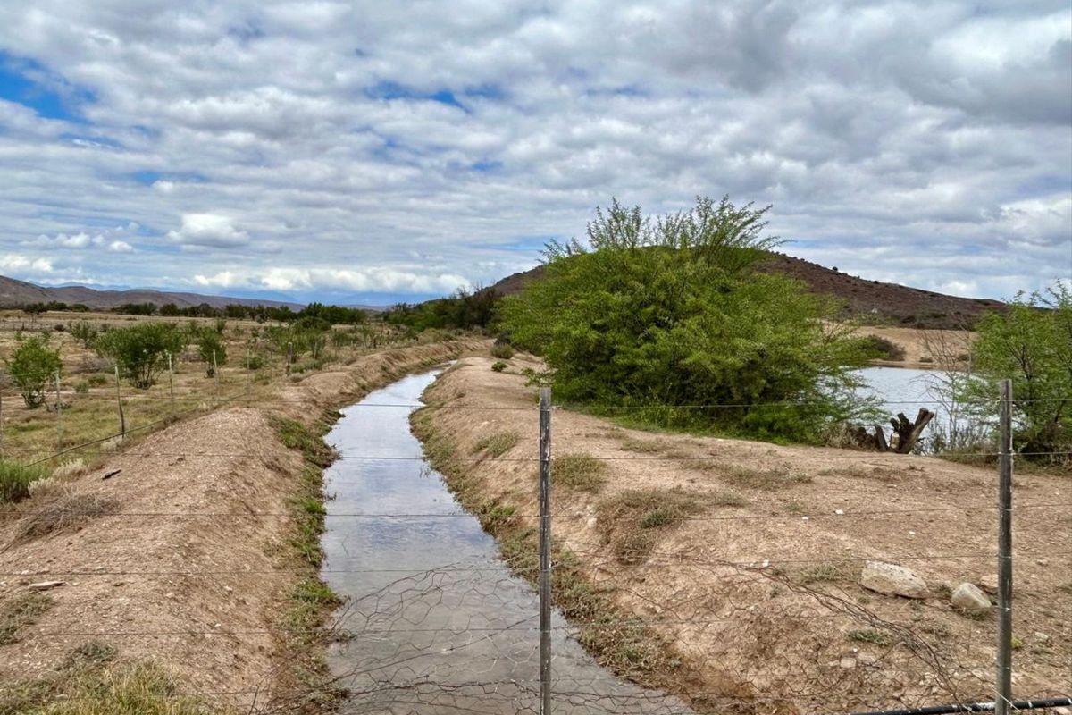 Farm For Sale in Ladismith Rural - Photo 4