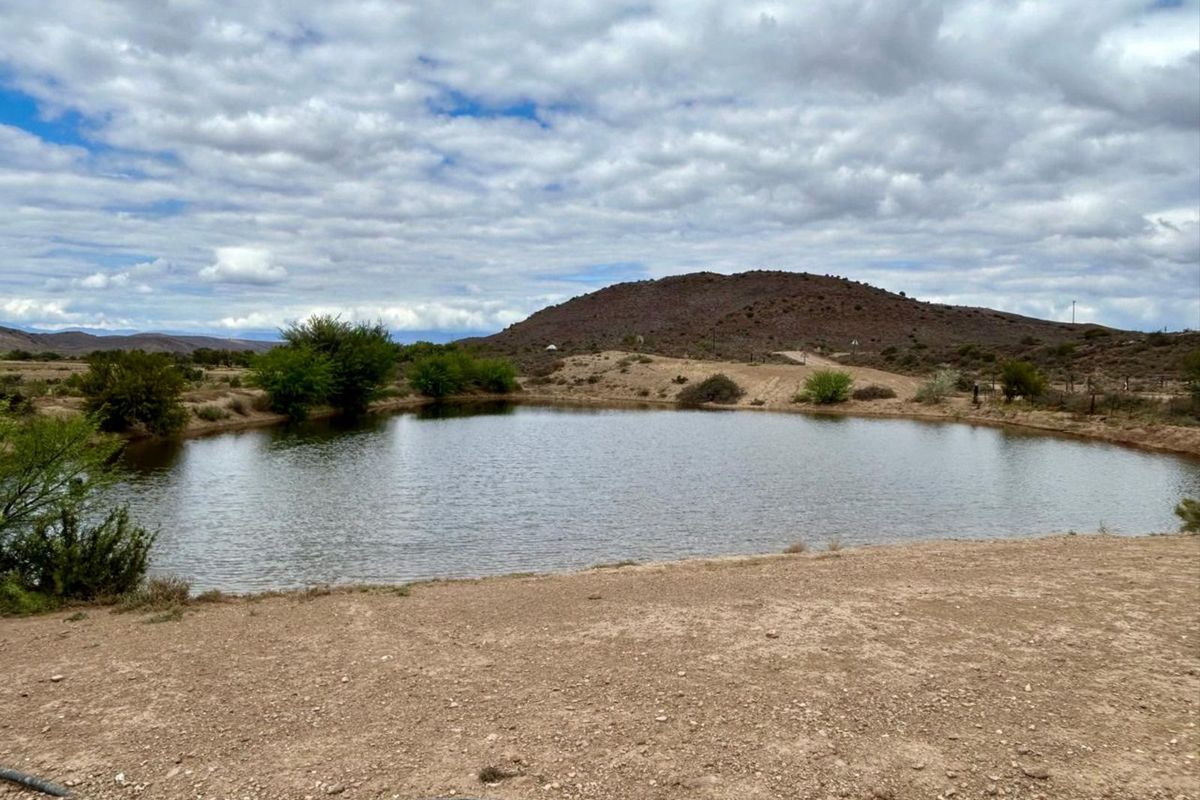 Farm For Sale in Ladismith Rural - Photo 2
