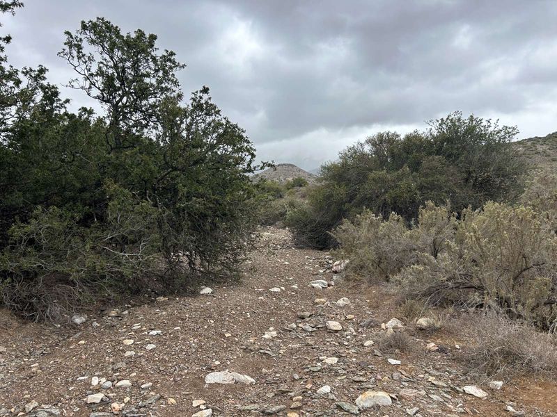 Farm For Sale in Ladismith Rural - Photo 6