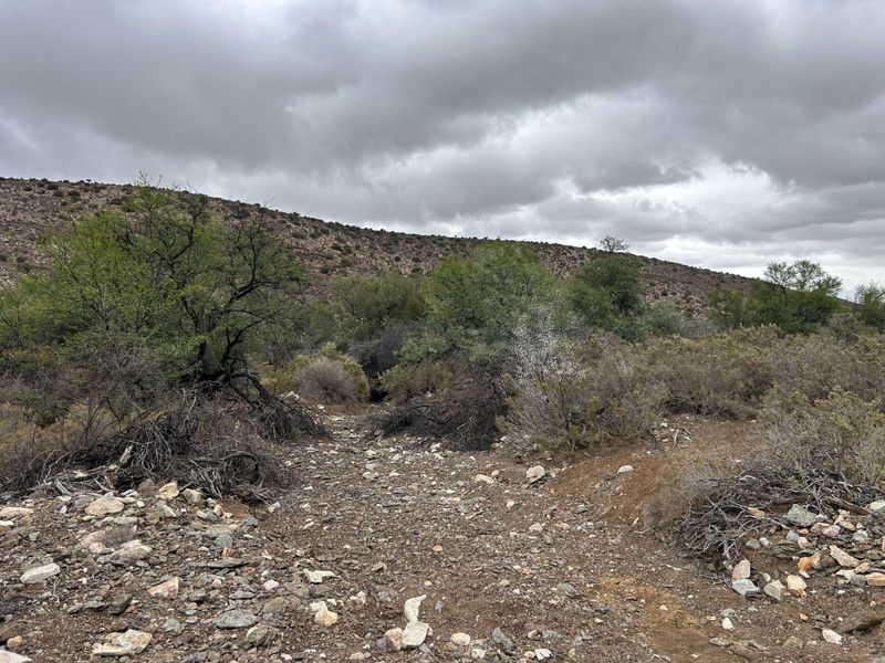 Farm For Sale in Ladismith Rural - Photo 7