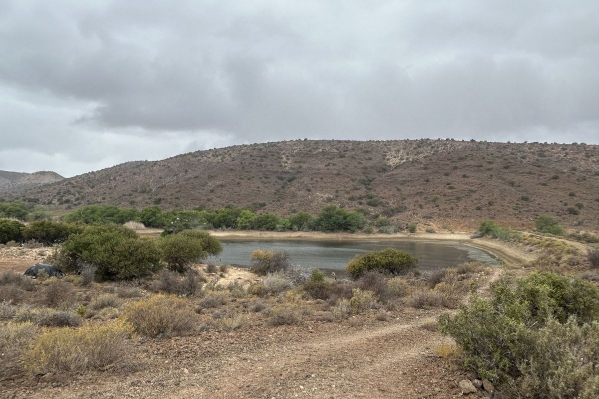 Farm For Sale in Ladismith Rural - Photo 3