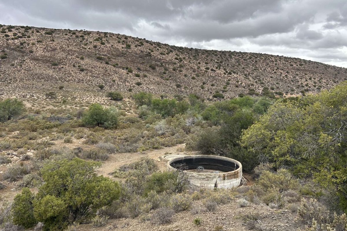 Farm For Sale in Ladismith Rural - Photo 5