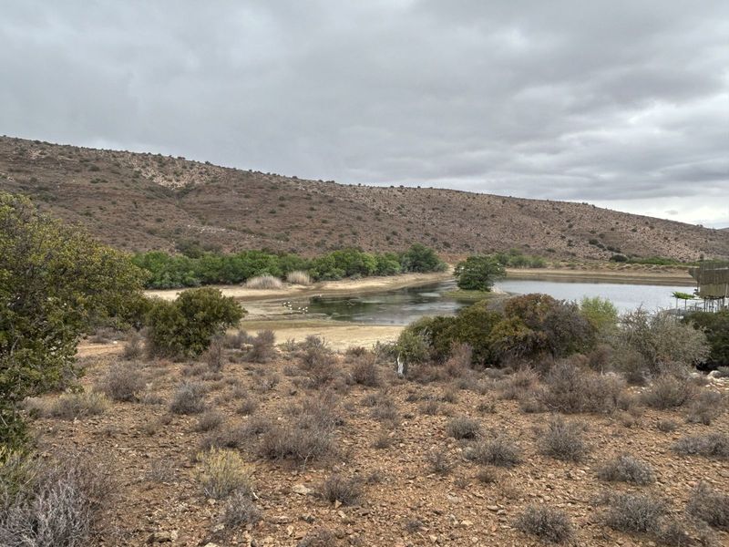 Farm For Sale in Ladismith Rural - Photo 4