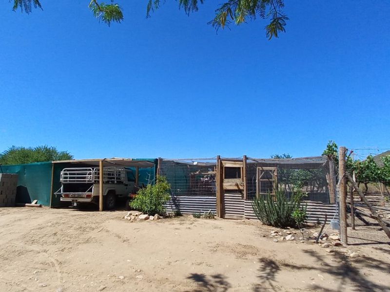 Farm For Sale in Calitzdorp Rural - Photo 6