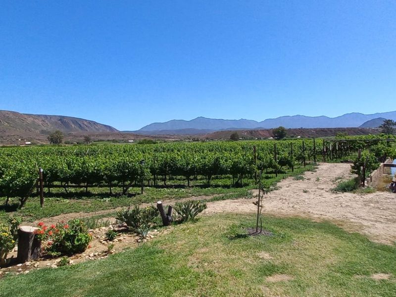 Farm For Sale in Calitzdorp Rural - Photo 4
