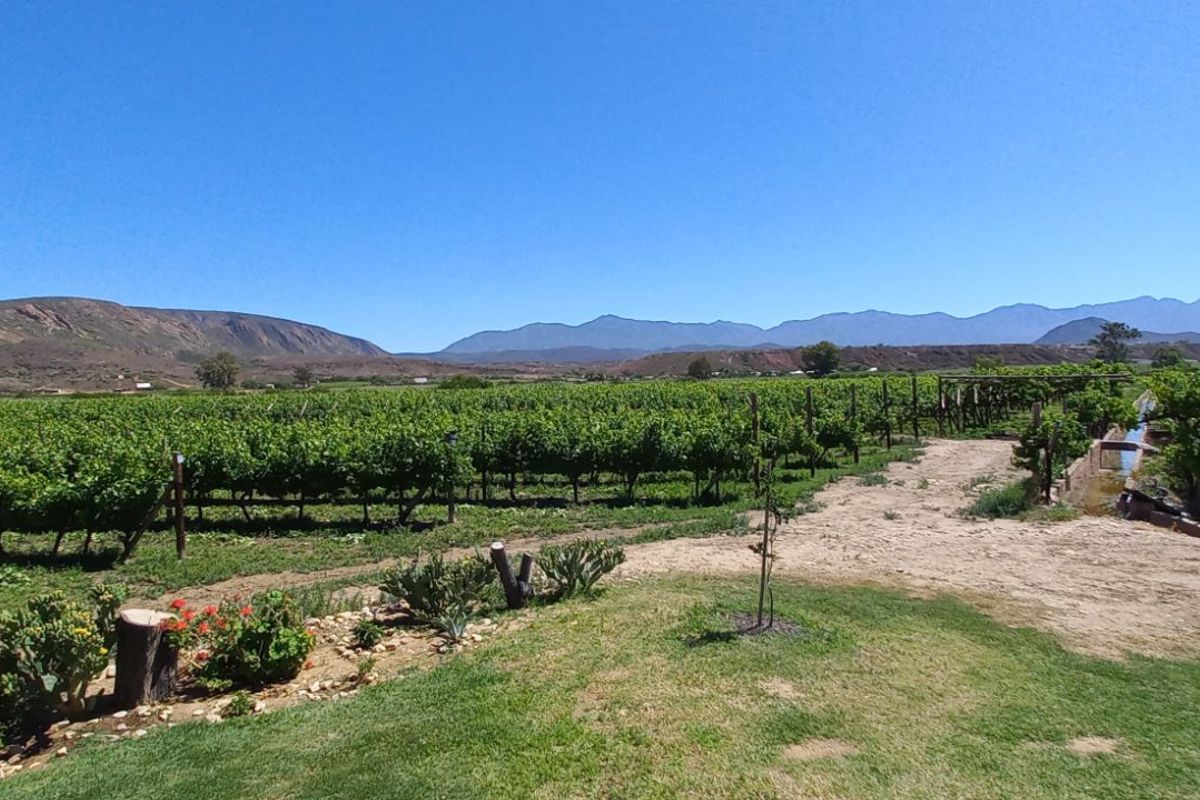 Farm For Sale in Calitzdorp Rural - Photo 4