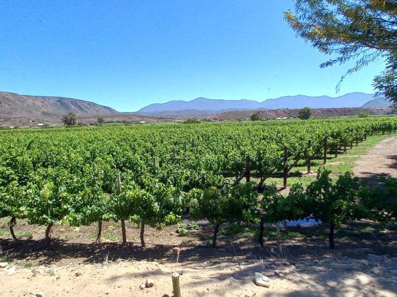 Farm For Sale in Calitzdorp Rural - Photo 10