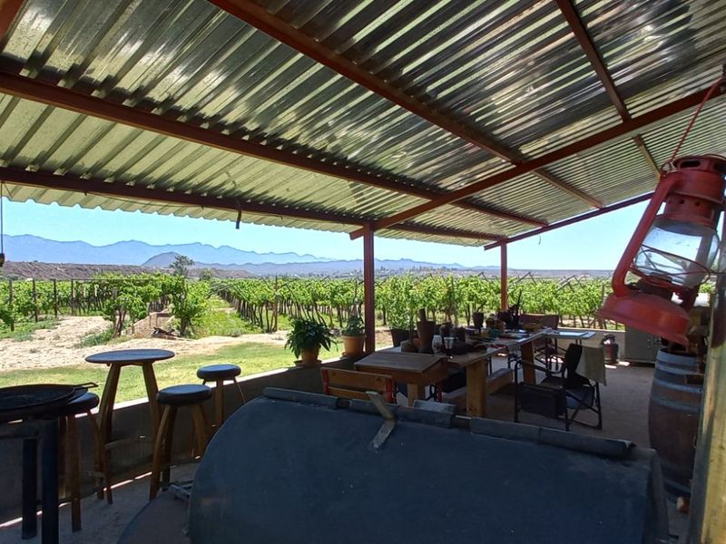 Farm For Sale in Calitzdorp Rural - Photo 9