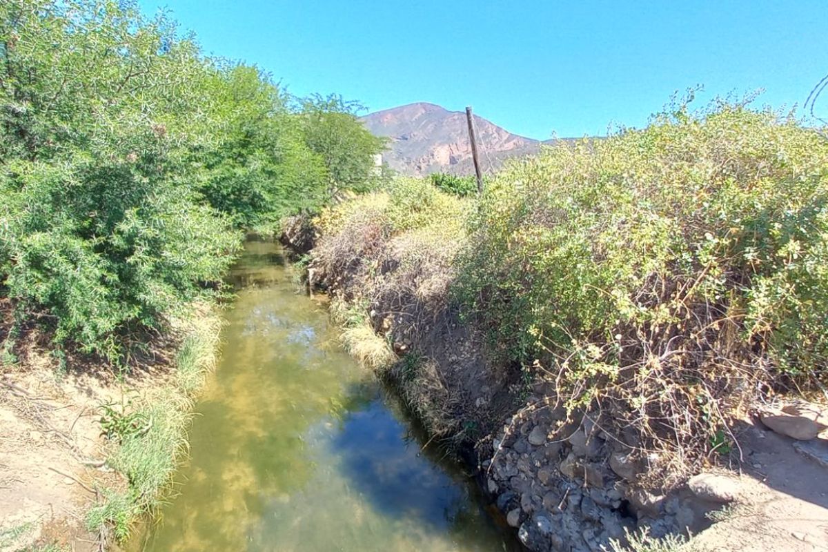 Farm For Sale in Calitzdorp Rural - Photo 2