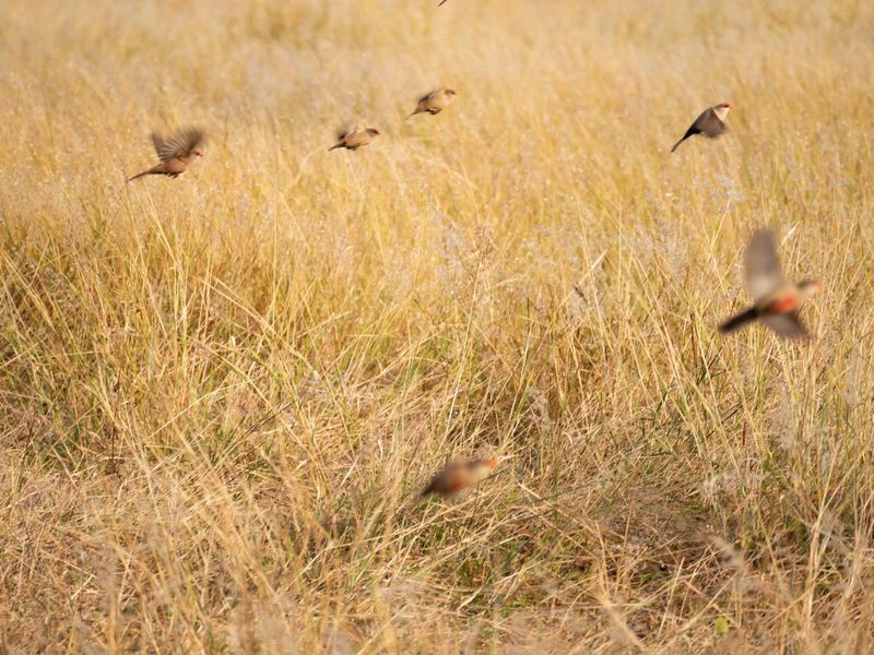 Vacant Land Residential For Sale in Zululami Luxury Coastal Estate - Photo 4