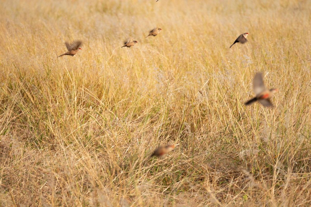 Vacant Land Residential For Sale in Zululami Luxury Coastal Estate - Photo 4