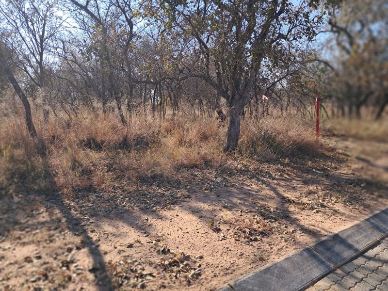 Vacant Land Residential For Sale in Koro Creek Golf Estate - Photo 3