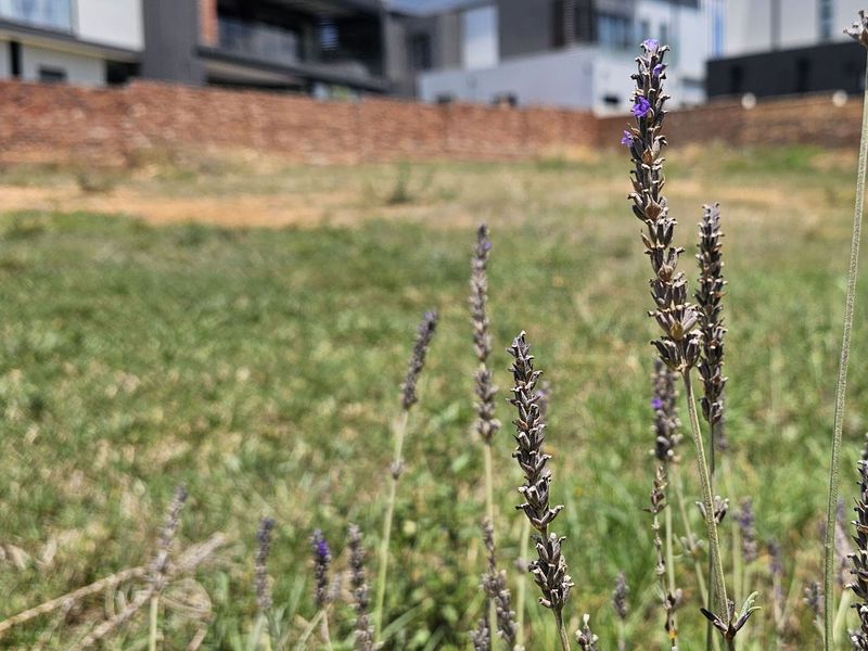 Vacant Land Residential For Sale in The Hills Game Reserve Estate - Photo 2