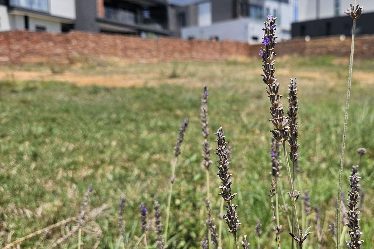 Vacant Land Residential For Sale in The Hills Game Reserve Estate - Photo 2