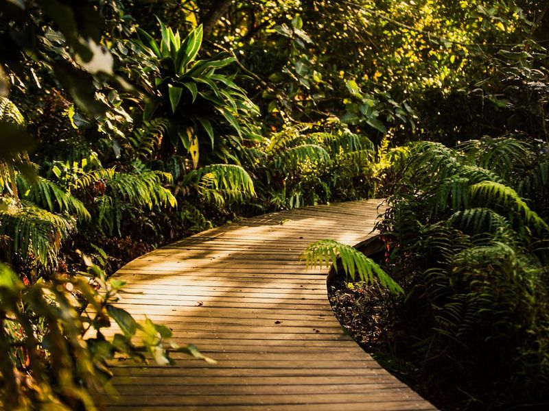 Vacant Land Residential For Sale in Zululami Luxury Coastal Estate - Photo 5