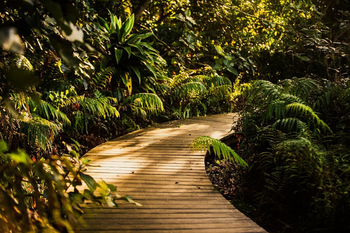 Vacant Land Residential For Sale in Zululami Luxury Coastal Estate - Photo 5