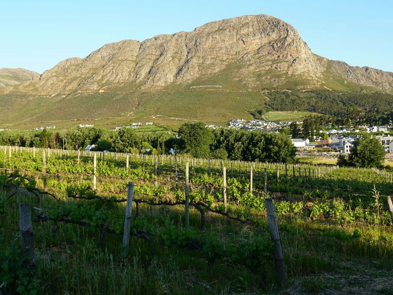 Vacant Land Residential For Sale in Franschhoek Central - Photo 2