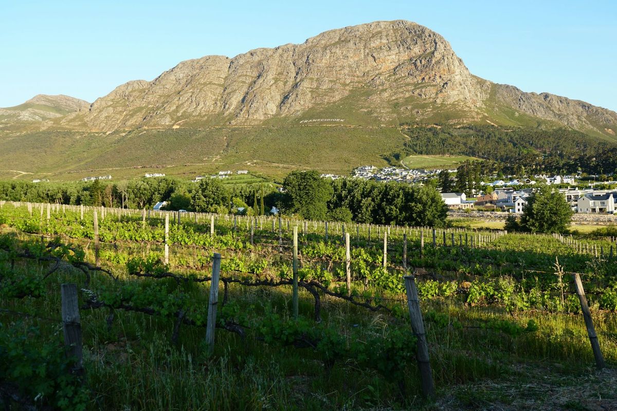 Vacant Land Residential For Sale in Franschhoek Central - Photo 2