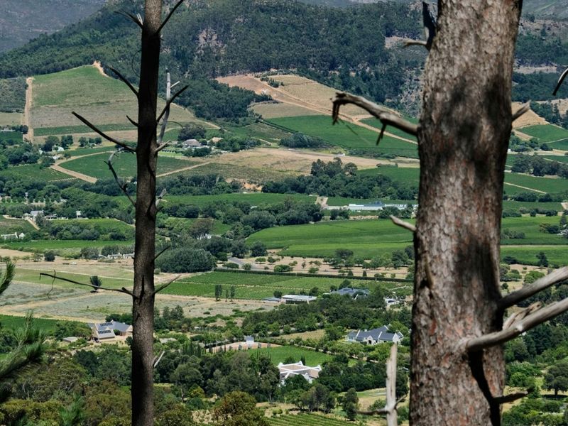 Vacant Land Residential For Sale in Franschhoek Central - Photo 3