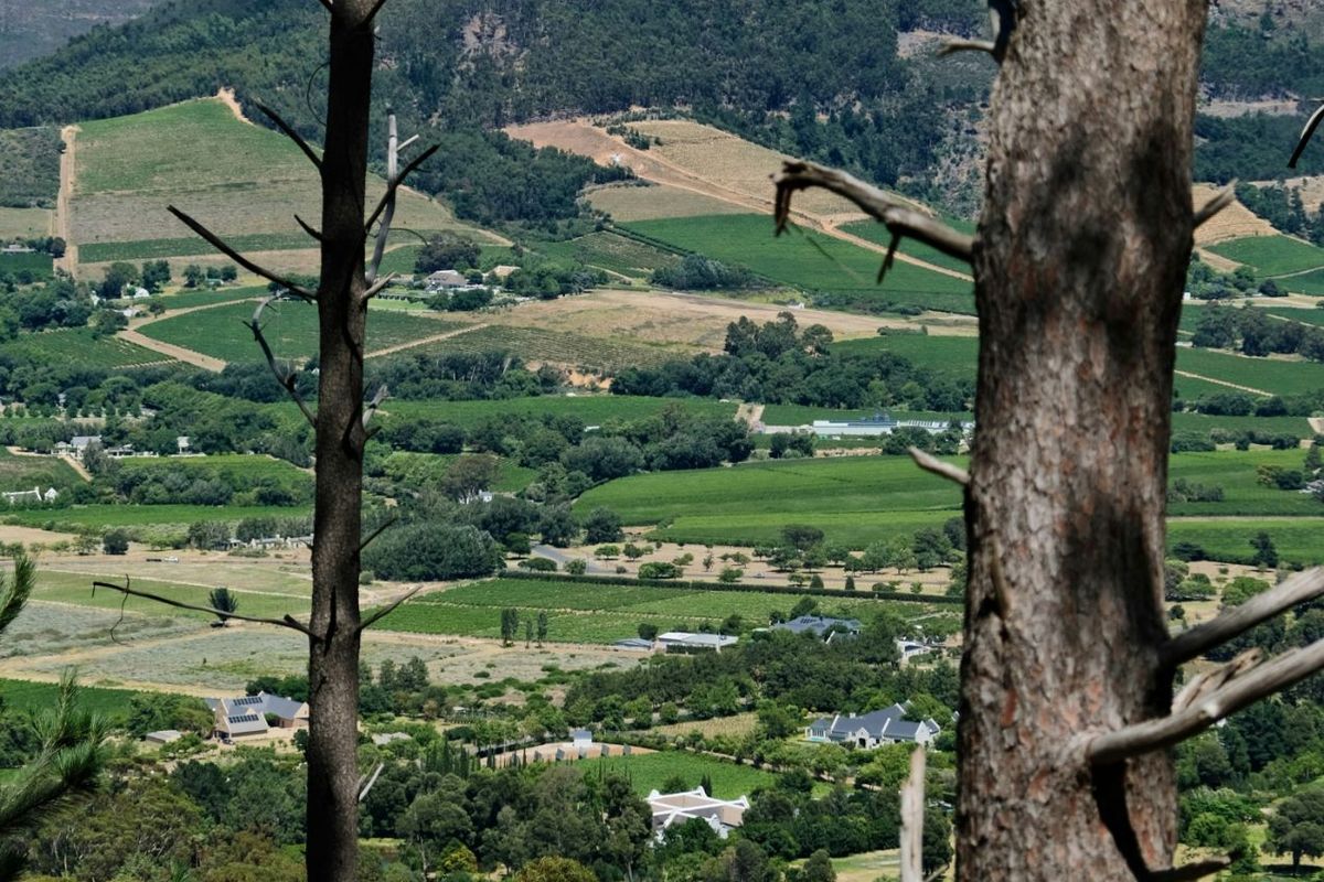 Vacant Land Residential For Sale in Franschhoek Central - Photo 3