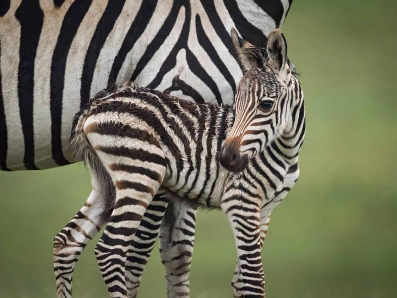 Vacant Land Residential For Sale in Vaal Marina Central - Photo 2