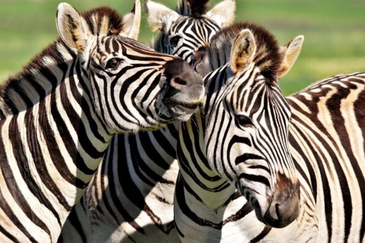 Vacant Land Residential For Sale in Vaal Marina Central - Photo 5