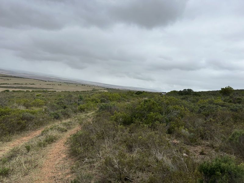 Farm For Sale in Mossel Bay Rural - Photo 4