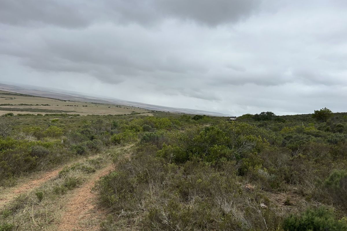 Farm For Sale in Mossel Bay Rural - Photo 4