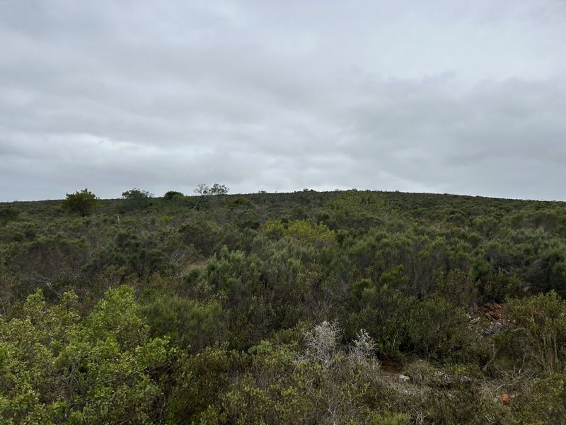 Farm For Sale in Mossel Bay Rural - Photo 6