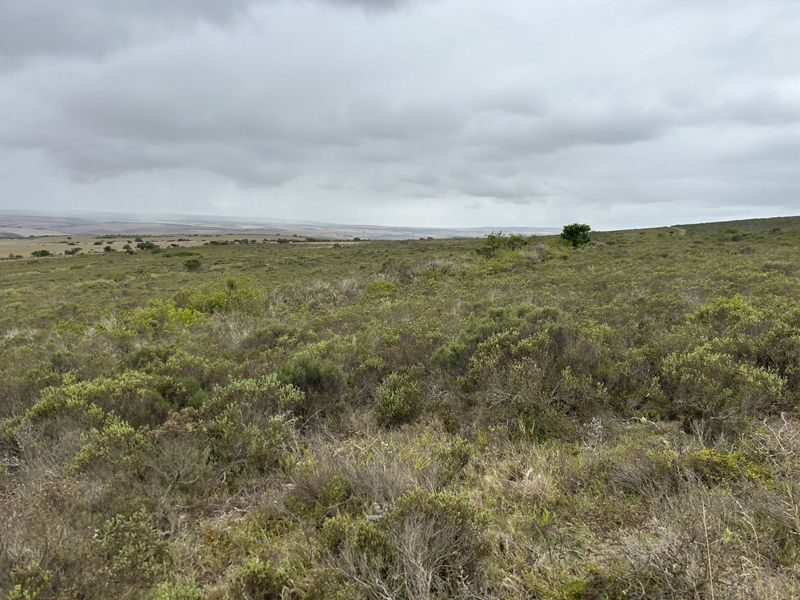 Farm For Sale in Mossel Bay Rural - Photo 7