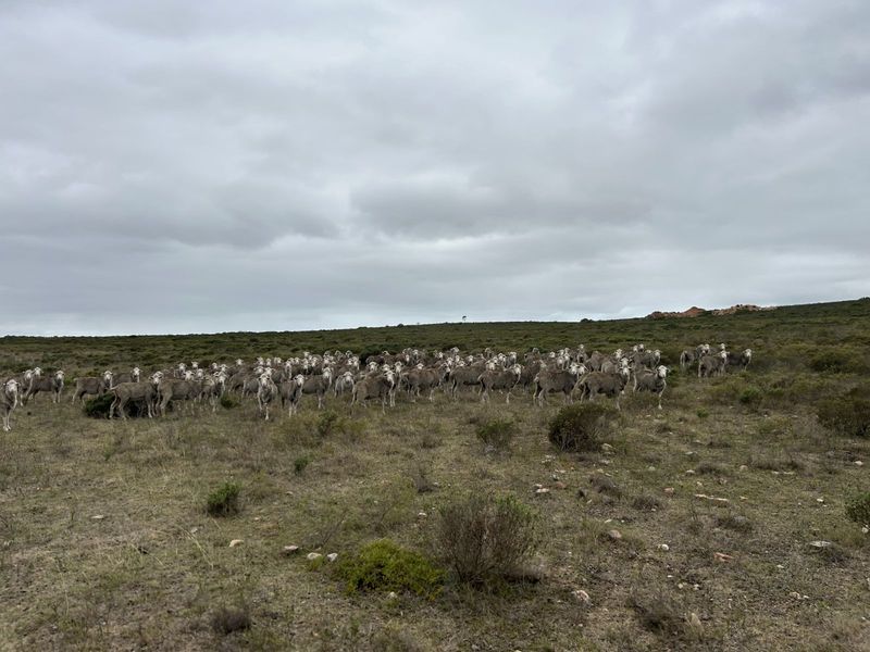 Farm For Sale in Mossel Bay Rural - Photo 10