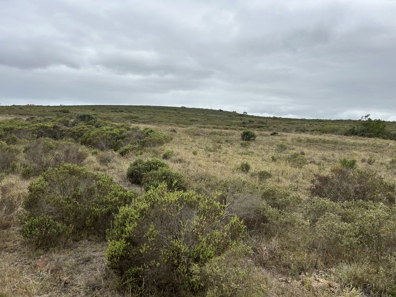 Farm For Sale in Mossel Bay Rural - Photo 8