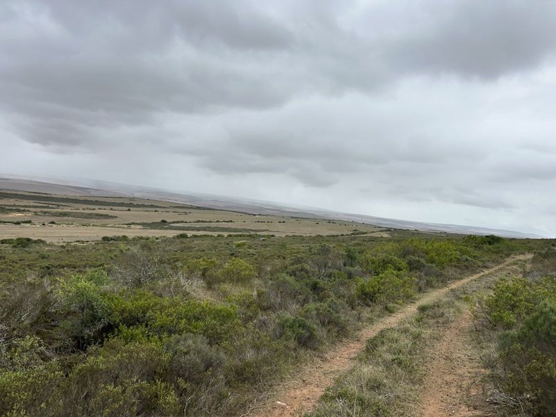 Farm For Sale in Mossel Bay Rural - Photo 5